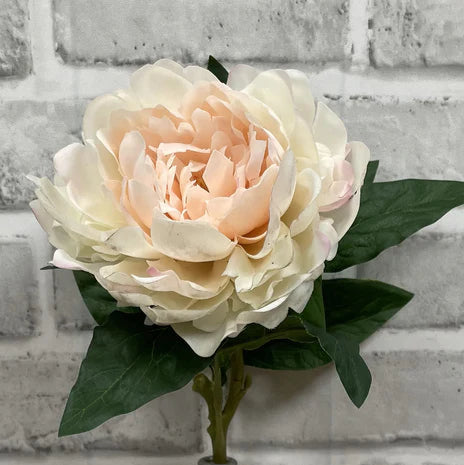 Blush Fresh Touch Peony Stem 23"