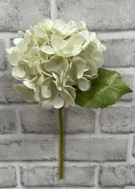 Cream Green Fresh Touch Hydrangea Stem 12"