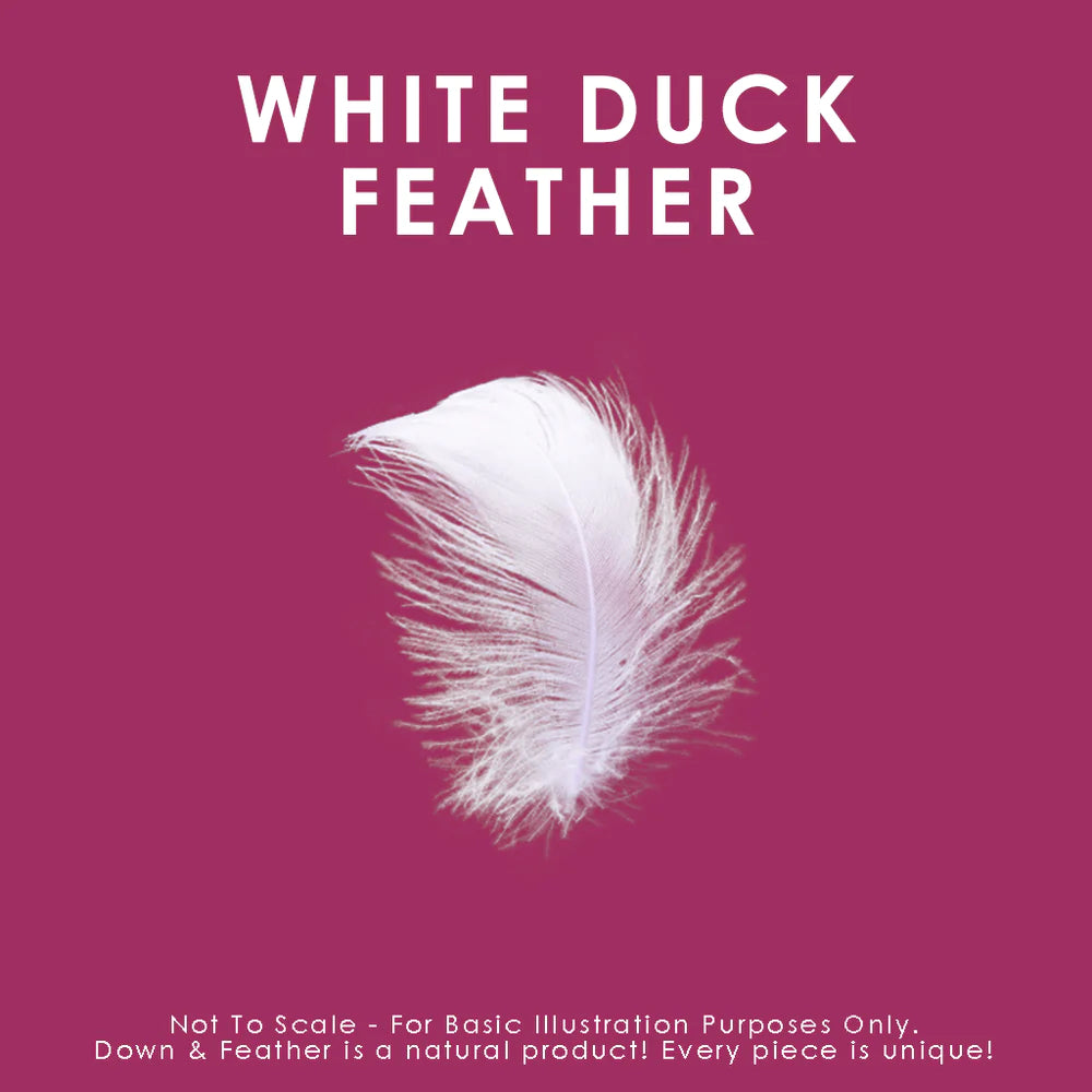 White Feather Cushion
