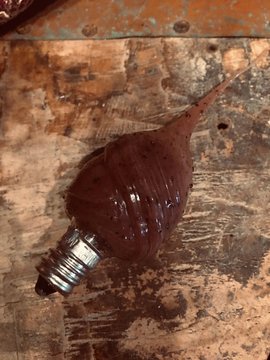 Primitive Grungy light Bulbs