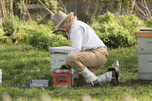 2024 Beekeeping Course