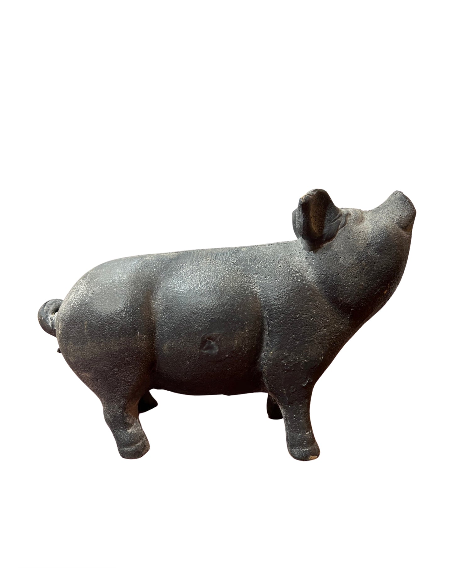 cast iron pig