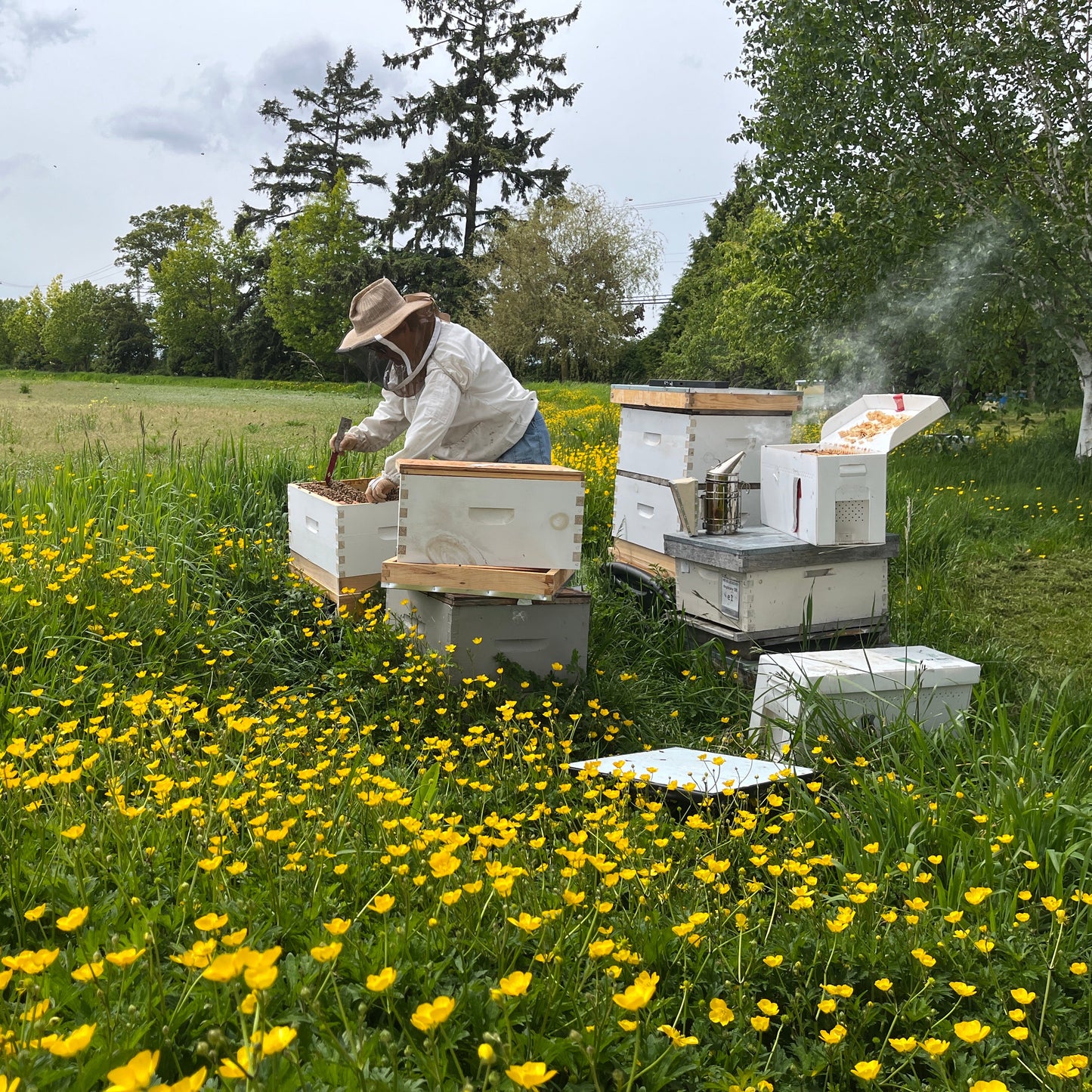 2025 Beekeeping Course