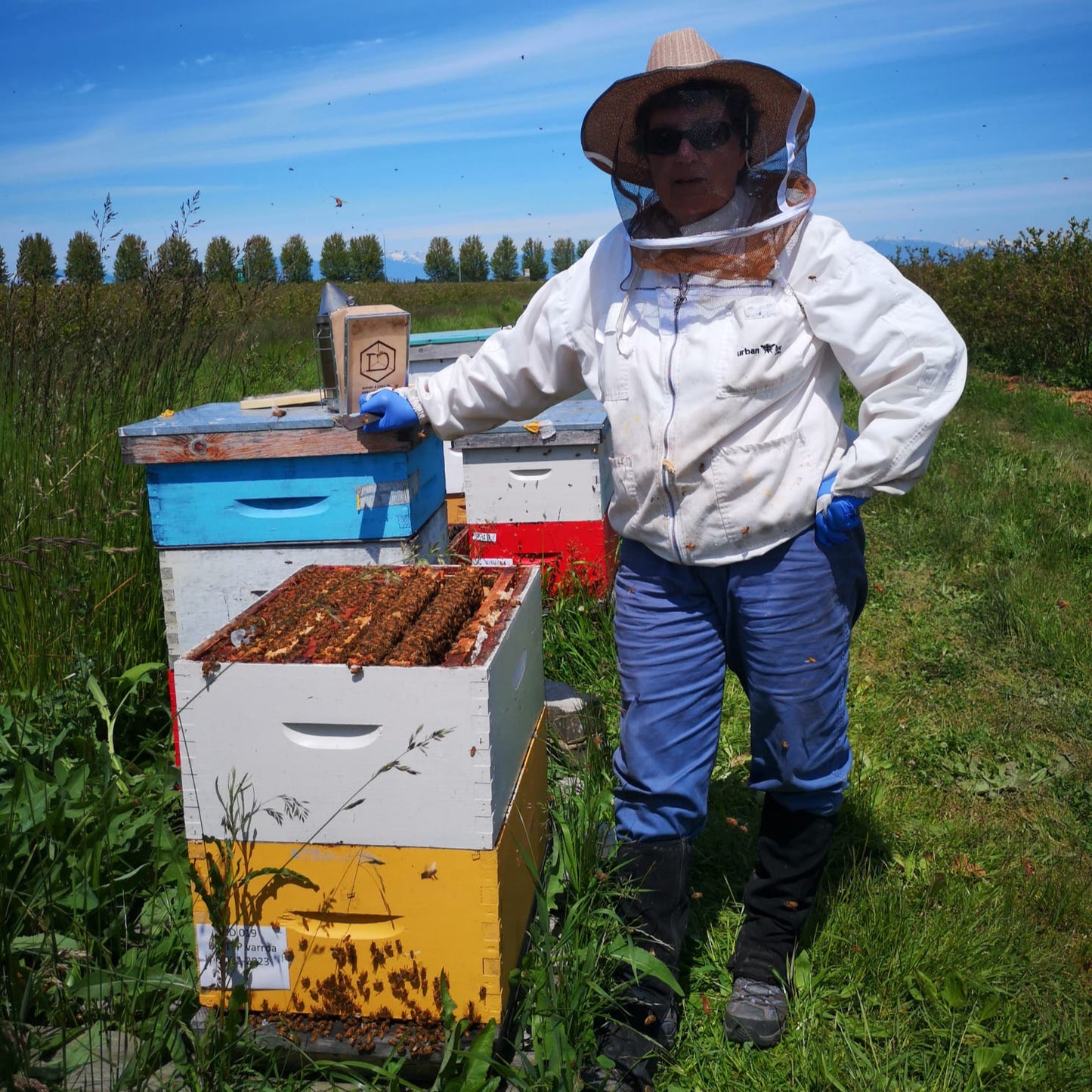 2025 Beekeeping Course