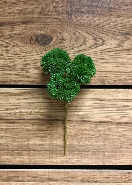 9" green fresh touch sedum pick