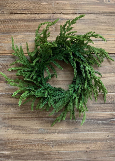 24" fresh touch Norfolk pine wreath