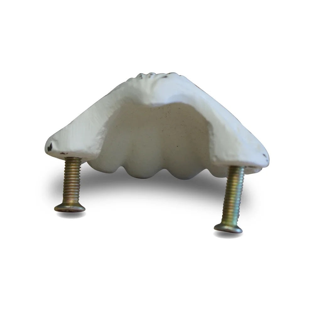 antique white clam knob