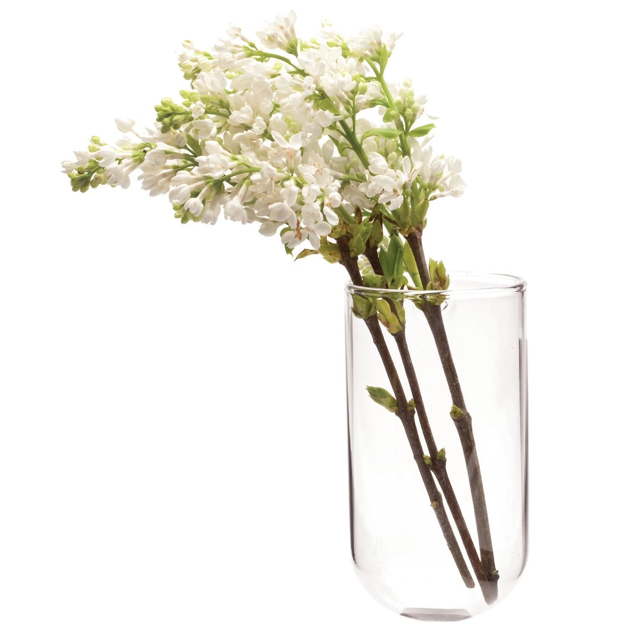 Hudson 2 wall cup glass planter vase