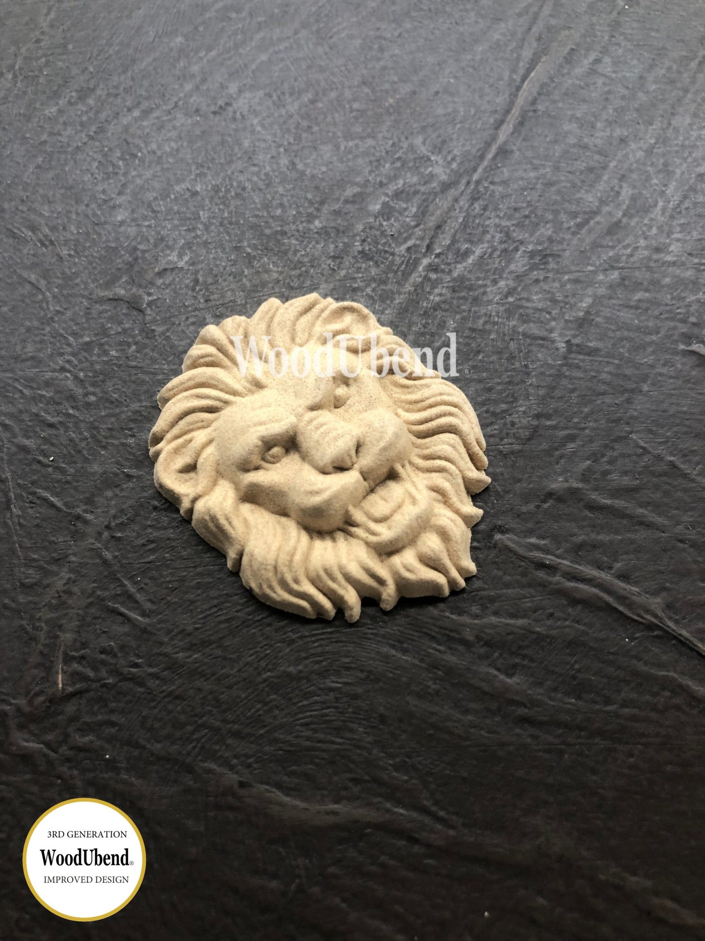 Pack of 5 lions