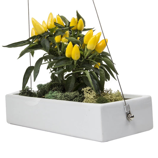 Ragna hanging planter white